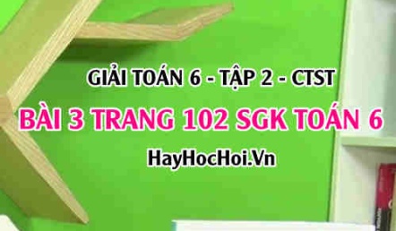 Giải bài 3 trang 102 Toán 6 Tập 2 SGK Chân trời sáng tạo